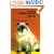 All About Himalayan Cats