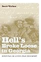 Hell's Broke Loose In Georgia: Survival In A Civil War Regiment