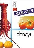 CONCENT グルメ・カタログギフト dancyu ダンチュウ <strong>DC</strong>コース ※通常、当日～翌営業日内に発送します