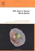 MRI Atlas of Human White Matter