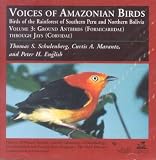 Voices of Amazonian Birds, Vol. 3: Ground Antbirds Through Jays