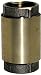 Water Source #CV-200 2 Brass Check Valve