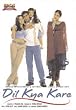Dil Kya Kare [UK Import]
