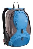 Coleman Exponent Stroll X20 Panel-Load Daypack,Blue