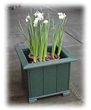 Gift Planter Box with 9 Paperwhite Holiday Bulbs