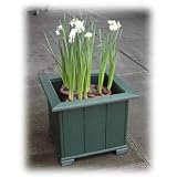 Gift Planter Box with 9 Paperwhite Holiday Bulbs-White Planter by Orcaboard