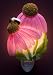 Coneflower & Bee Night Light - Ibis & Orchid Flowers of Light Collection