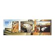 Salvador Dali (Butterflies, Persistence of Memory - Triptych) Art Poster Print - 12x36