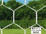トーエイライト フットサル・ハンドネット 亀甲タイプ B-2190