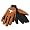 Texas Longhorns