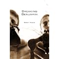 Breaking Benjamin book cover