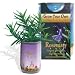 Rosemary