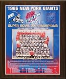 1986 New York Giants Super Bowl Champions Healy Plaque