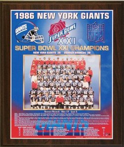 1986 New York Giants Super Bowl Champions Healy Plaque