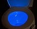 NightGlow - Motion Activated Toilet Nightlight with 8 Colors by American Pumpkins