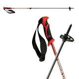 Black Diamond Flick Lock Carbon Fiber 2-section Poles