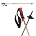 Sporting Goods : Black Diamond Flick Lock Carbon Fiber 2-section Poles
