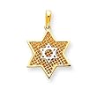 14k Two-tone Solid Polished Meshed Star of David Pendant