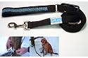 Spiffy Dog Let'Em Lead Dog Leash 'Black Planets' (1" width) - matching collar available