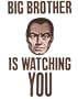 Big Brother is Watching You Poster Print Card, 11x14