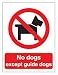 Stewart Superior No Dogs Except Guide Dogs Self Adhesive Sign Ref P091SAV