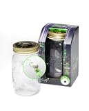 Firefly in Glass Jar Electronic Toys (Green)