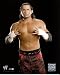 Matt Hardy WWE 8x10 Photo