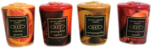 Root 20 Hour Votive, Autumn, 12-Count (Pack of 2) by Root
