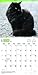 Black Cats 2017 Calendar