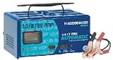 10/2/55 Amp, 6 and 12 Volt Portable Automatic Charger with Engine Starter