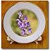 Salvia017 Small Blue Flowers - 8 Inch Porcelain Plate