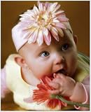 Z: Pale Pink Daisy Headband