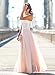 Doreen Womens Vintage Chiffon Prom Gown Formal Bridesmaid Party Wedding Dress Size XXL