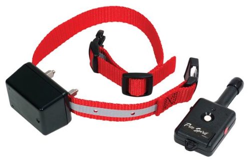 Innotek Basic Remote Trainer