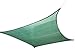 Cool Area Rectangle 13' X 19'8'' Sun Shade Sail for Patio in Color Green