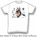 Miniature Schnauzer - Cats and Dogs Premium T-Shirt