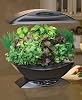 AeroGrow AeroGarden with Gourmet Herb Seed Kit