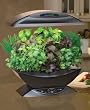 AeroGrow AeroGarden with Gourmet Herb Seed Kit