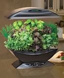 Outdoor Living : AeroGrow AeroGarden with Gourmet Herb Seed Kit