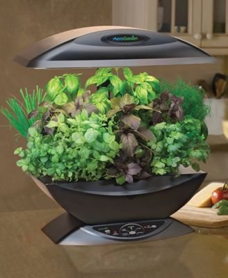 Buy Now at Amazon.com: AeroGrow AeroGarden With Gourmet Herb Seed Kit