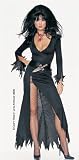 Elvira Mistress of the Dark Outfit Sexy Adult Goth Halloween Costume Naughty Long Black Witch Dress