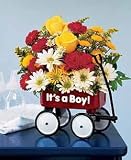 Baby's First Wagon Flower Arrangement
