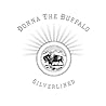 Image of album by Donna the Buffalo