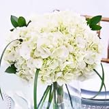 Best Price Send Fresh Cut Flowers – Hydrangea Centerpiece (6pc) – White