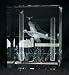 Fleeing Pheasant Laser Crystal
