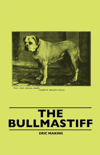 The Bullmastiff