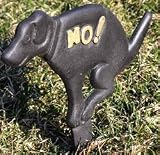 No Pooping Naughty Dog Black Yard Sign