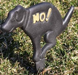 No Pooping Naughty Dog Black Yard Sign