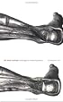 The Body Multiple: Ontology in Medical Practice (Science and Cultural Theory)