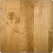 Exotic Flooring Aiden Maple Floors Maple 1/2 Floor